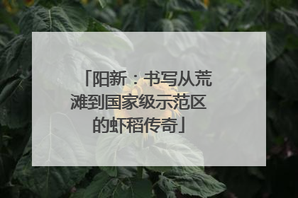 阳新：书写从荒滩到国家级示范区的虾稻传奇