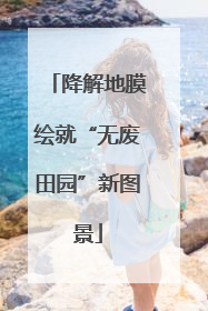 降解地膜绘就“无废田园”新图景