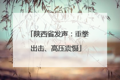 陕西省发声：重拳出击、高压震慑