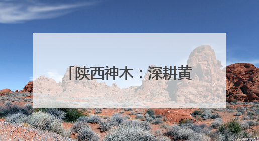 陕西神木：深耕黄河流域生态治理 绘就绿色发展新画卷