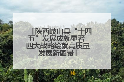 陕西岐山县“十四五”发展成就显著 四大战略绘就高质量发展新图景