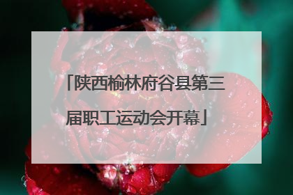 陕西榆林府谷县第三届职工运动会开幕