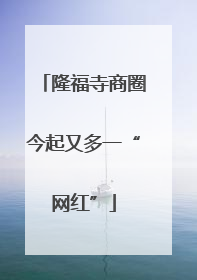 隆福寺商圈今起又多一“网红”