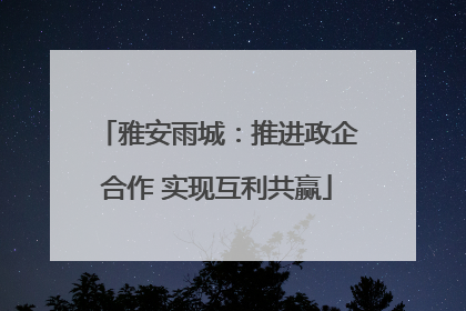 雅安雨城：推进政企合作 实现互利共赢