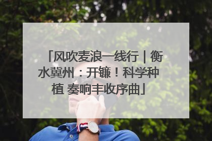 风吹麦浪一线行｜衡水冀州：开镰！科学种植 奏响丰收序曲