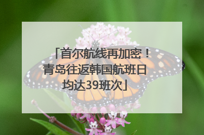 首尔航线再加密！青岛往返韩国航班日均达39班次