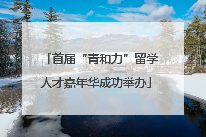 首届“青和力”留学人才嘉年华成功举办