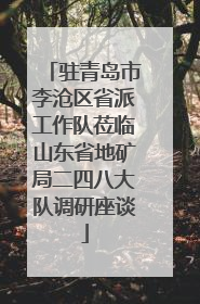 驻青岛市李沧区省派工作队莅临山东省地矿局二四八大队调研座谈