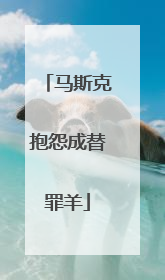 马斯克抱怨成替罪羊