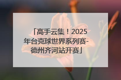 高手云集！2025年台克球世界系列赛-德州齐河站开赛