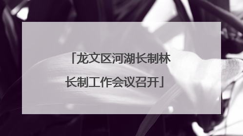 龙文区河湖长制林长制工作会议召开