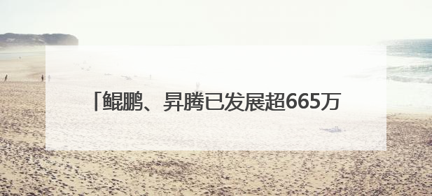 鲲鹏、昇腾已发展超665万开发者，今年将进一步开放