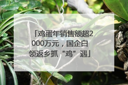 鸡蛋年销售额超2000万元，国企白领返乡抓“鸡”遇