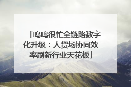 鸣鸣很忙全链路数字化升级：人货场协同效率刷新行业天花板