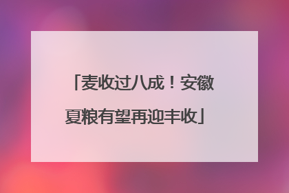 麦收过八成！安徽夏粮有望再迎丰收