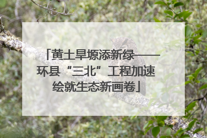 黄土旱塬添新绿——环县“三北”工程加速绘就生态新画卷