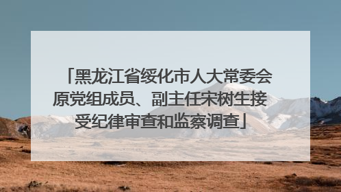 黑龙江省绥化市人大常委会原党组成员、副主任宋树生接受纪律审查和监察调查