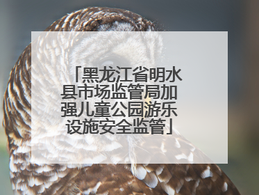 黑龙江省明水县市场监管局加强儿童公园游乐设施安全监管