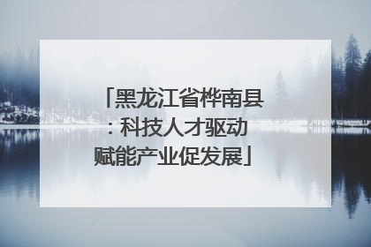 黑龙江省桦南县：科技人才驱动 赋能产业促发展