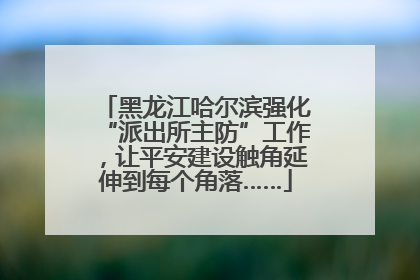 黑龙江哈尔滨强化“派出所主防”工作，让平安建设触角延伸到每个角落……