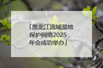 黑龙江流域湿地保护网络2025年会成功举办
