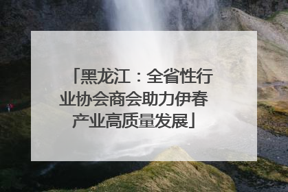 黑龙江：全省性行业协会商会助力伊春产业高质量发展