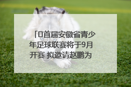 ﻿首届安徽省青少年足球联赛将于9月开赛 拟邀请赵鹏为先导赛开球