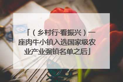 （乡村行·看振兴）一座肉牛小镇入选国家级农业产业强镇名单之后