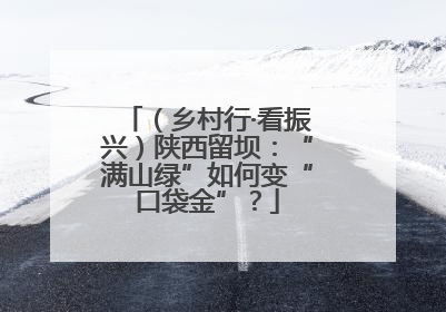 （乡村行·看振兴）陕西留坝：“满山绿”如何变“口袋金”？