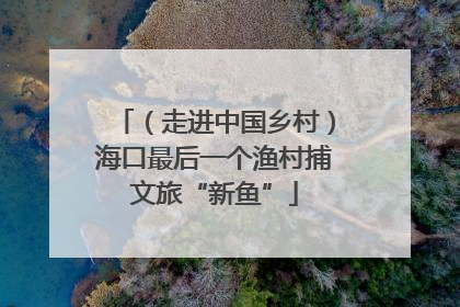（走进中国乡村）海口最后一个渔村捕文旅“新鱼”