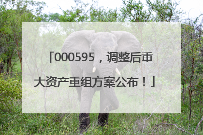 000595，调整后重大资产重组方案公布！