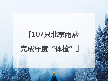 107只北京雨燕完成年度“体检”