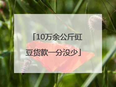 10万余公斤豇豆货款一分没少