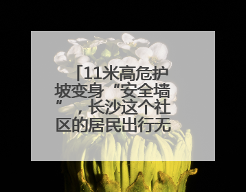 11米高危护坡变身“安全墙”，长沙这个社区的居民出行无忧了！