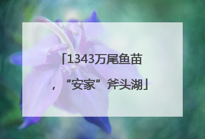 1343万尾鱼苗，“安家”斧头湖