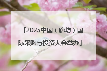 2025中国（廊坊）国际采购与投资大会举办