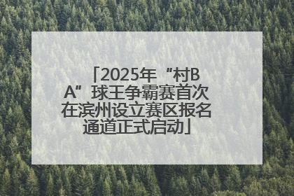 2025年“村BA”球王争霸赛首次在滨州设立赛区报名通道正式启动