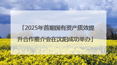 2025年首期国有资产质效提升合作推介会在沈阳成功举办