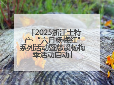 2025浙江土特产·“六月杨梅红”系列活动暨慈溪杨梅季活动启动
