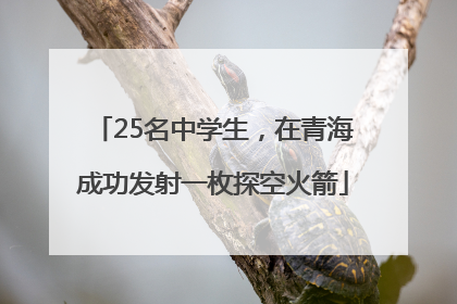 25名中学生，在青海成功发射一枚探空火箭