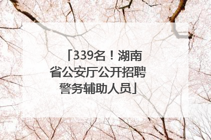 339名！湖南省公安厅公开招聘警务辅助人员