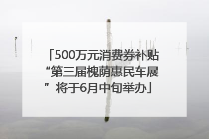 500万元消费券补贴 “第三届槐荫惠民车展”将于6月中旬举办