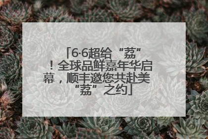 6·6超给“荔”！全球品鲜嘉年华启幕，顺丰邀您共赴美“荔”之约