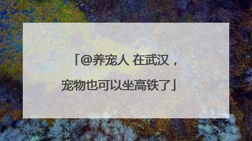@养宠人 在武汉，宠物也可以坐高铁了
