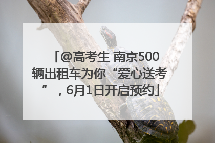 @高考生 南京500辆出租车为你“爱心送考”，6月1日开启预约