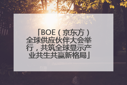 BOE（京东方）全球供应伙伴大会举行，共筑全球显示产业共生共赢新格局