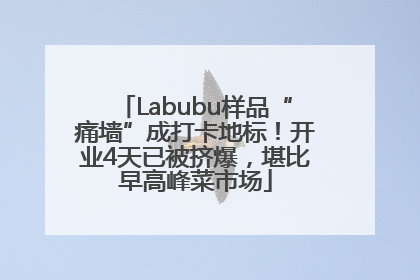 Labubu样品“痛墙”成打卡地标！开业4天已被挤爆，堪比早高峰菜市场