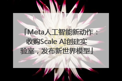 Meta人工智能新动作：收购Scale AI创建实验室，发布新世界模型