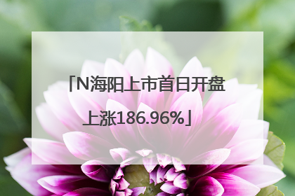 N海阳上市首日开盘上涨186.96%