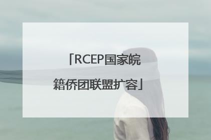 RCEP国家皖籍侨团联盟扩容
